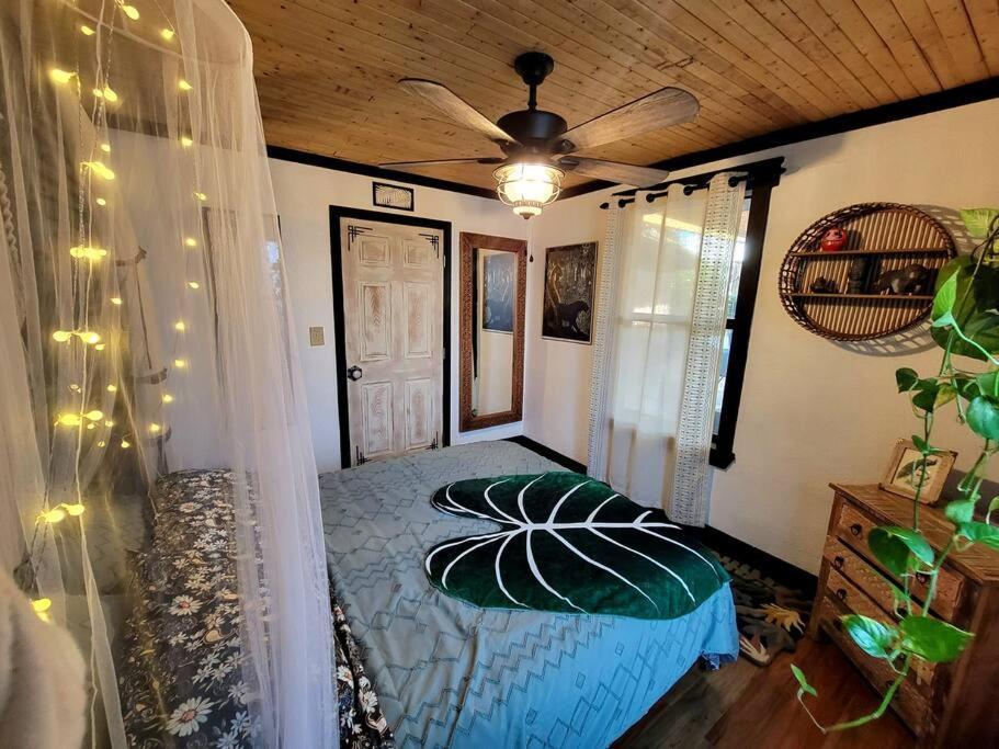 Cozy Af Jungle-House Hideaway Villa Tampa Buitenkant foto